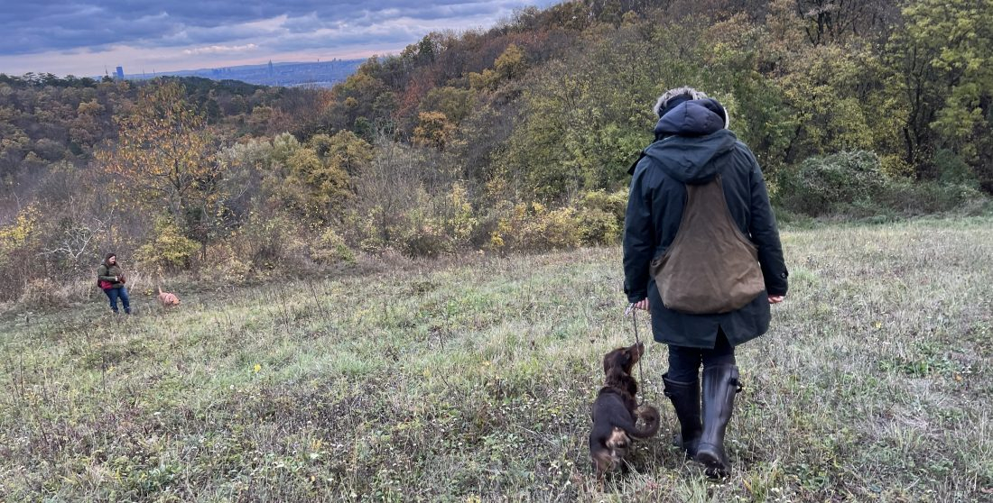 Dummytraining für Profis